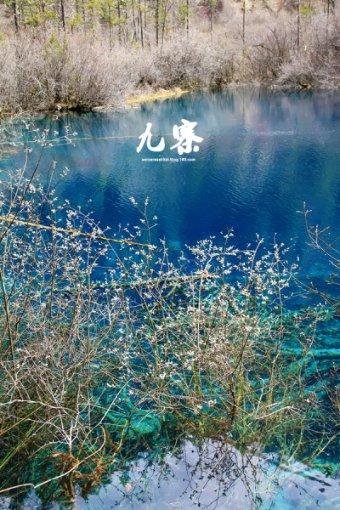 博物馆小偷