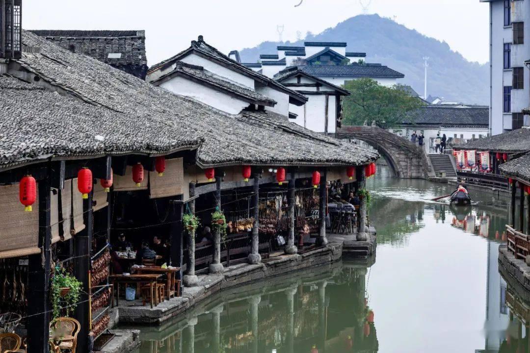 曹操主张“唯才是举”，为何曹丕实施“九品中正制”？